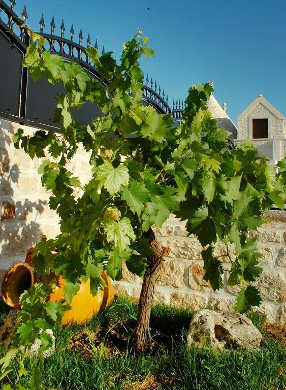 Trulli Isago Bed & Breakfast Locorotondo Eksteriør bilde